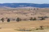 7 Riverbend Drive, Dalgety, NSW 2628-Image