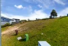 7 Robin Close, Merimbula, NSW 2548-Image