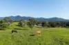 7 Rosemont Court, Mount Samson, Qld 4520-Image