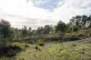 7 Sofoula Court, Legana, Tas 7277-Image