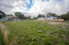 7 St Martins Place, Mount Clear, Vic 3350-Image