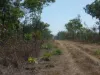 7 Tuey Close, Blackmore, NT 0822-Image