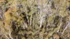 7 Wigrams Way, London Lakes, Tas 7140-Image