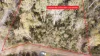 7 Wigrams Way, London Lakes, Tas 7140-Image
