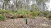 7 Wigrams Way, London Lakes, Tas 7140-Image