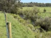 70 Bridge Road, Bushfield, Vic 3281-Image