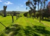 70 Bridge Road, Bushfield, Vic 3281-Image
