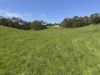 70 Bridge Road, Bushfield, Vic 3281-Image