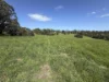70 Bridge Road, Bushfield, Vic 3281-Image