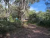 70 HACKING RIDGE RD, Russell Island, Qld 4184-Image