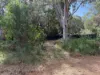 70 HACKING RIDGE RD, Russell Island, Qld 4184-Image