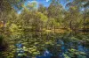 70 Josefski Road, Agnes Water, Qld 4677-Image