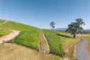 70 Range View Court, Mansfield, Vic 3722-Image