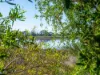 702 Bay Road, Marion Bay, Tas 7175