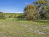 702 Bay Road, Marion Bay, Tas 7175-Image