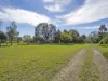 702 Bay Road, Marion Bay, Tas 7175-Image