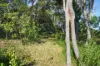 71 Seaspray Drive, Agnes Water, Qld 4677-Image
