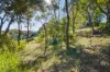 71 Seaspray Drive, Agnes Water, Qld 4677-Image