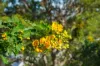 71 Seaspray Drive, Agnes Water, Qld 4677-Image