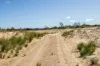 711 Dolphin Sands Road, Dolphin Sands, Tas 7190-Image