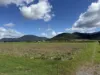 71630 Bruce Highway, Edmonton, Qld 4869-Image