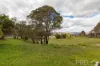 72-76 Mayday Road, Batlow, NSW 2730-Image