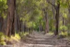 72 Apsley Drive, Margaret River, WA 6285-Image