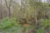 72 Nangarin Road, Oakhurst, Qld 4650-Image