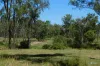 72 Whitaker Road, Nanango, Qld 4615-Image