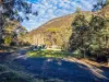 722 Molesworth Road, Molesworth, Tas 7140