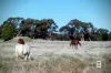 722B Tannery Road, Snake Valley, Vic 3351-Image