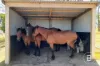 722d Tannery Road, Snake Valley, Vic 3351-Image