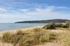 73 Bayview Road, McCrae, Vic 3938-Image
