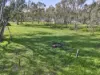 73 Bennett Street, Heathcote, Vic 3523-Image