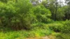 73 Crescent Drive, Russell Island, Qld 4184-Image