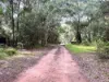 73 Hacking Ridge Road, Russell Island, Qld 4184
