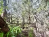 73 Hacking Ridge Road, Russell Island, Qld 4184-Image