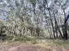 73 Hacking Ridge Road, Russell Island, Qld 4184-Image