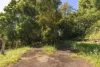734 Tamarind Drive, Cumbalum, NSW 2478-Image