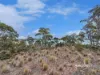 73b Jones Road, Miena, Tas 7030-Image