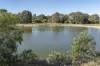 74 Dream Retreat, Wilyabrup, WA 6280-Image