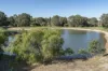 74 Dream Retreat, Wilyabrup, WA 6280-Image