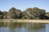 74 Dream Retreat, Wilyabrup, WA 6280-Image