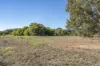 74 Dream Retreat, Wilyabrup, WA 6280-Image