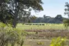 74 Dream Retreat, Wilyabrup, WA 6280-Image