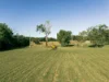 74 Explorers Drive, Mission Beach, Qld 4852-Image