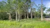 74 High Central Road, Macleay Island, Qld 4184-Image