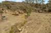 74 Honners Road, Mudgee, NSW 2850-Image