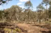 74 Honners Road, Mudgee, NSW 2850-Image