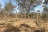 74 Honners Road, Mudgee, NSW 2850-Image